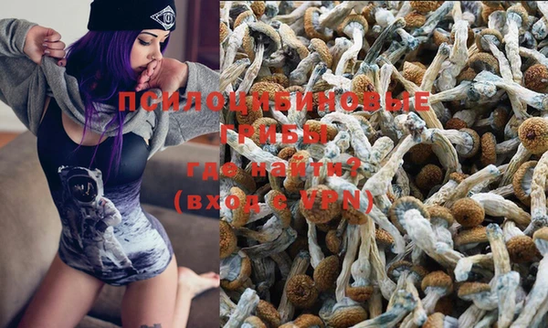 прущая мука Алзамай