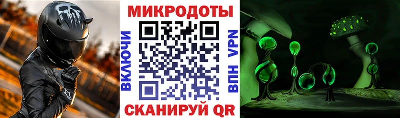 Псилоцибиновые грибы Psilocybine cubensis  что такое наркотик  Ак-Довурак 